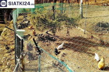 Siatki Pyrzyce - Siatka na woliery - zabezpieczenia ptaków w hodowli dla terenów Pyrzyc